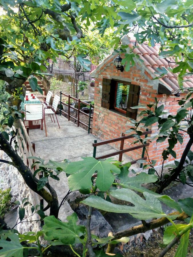 Apartment Lidija Херцег Нови Екстериор снимка